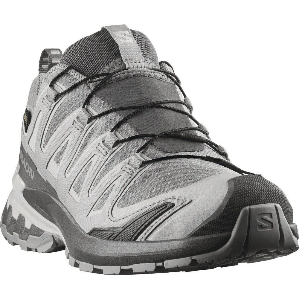 Salomon SHOES XA PRO 3D V9 GTX ALLO/CLROCK/Lunr