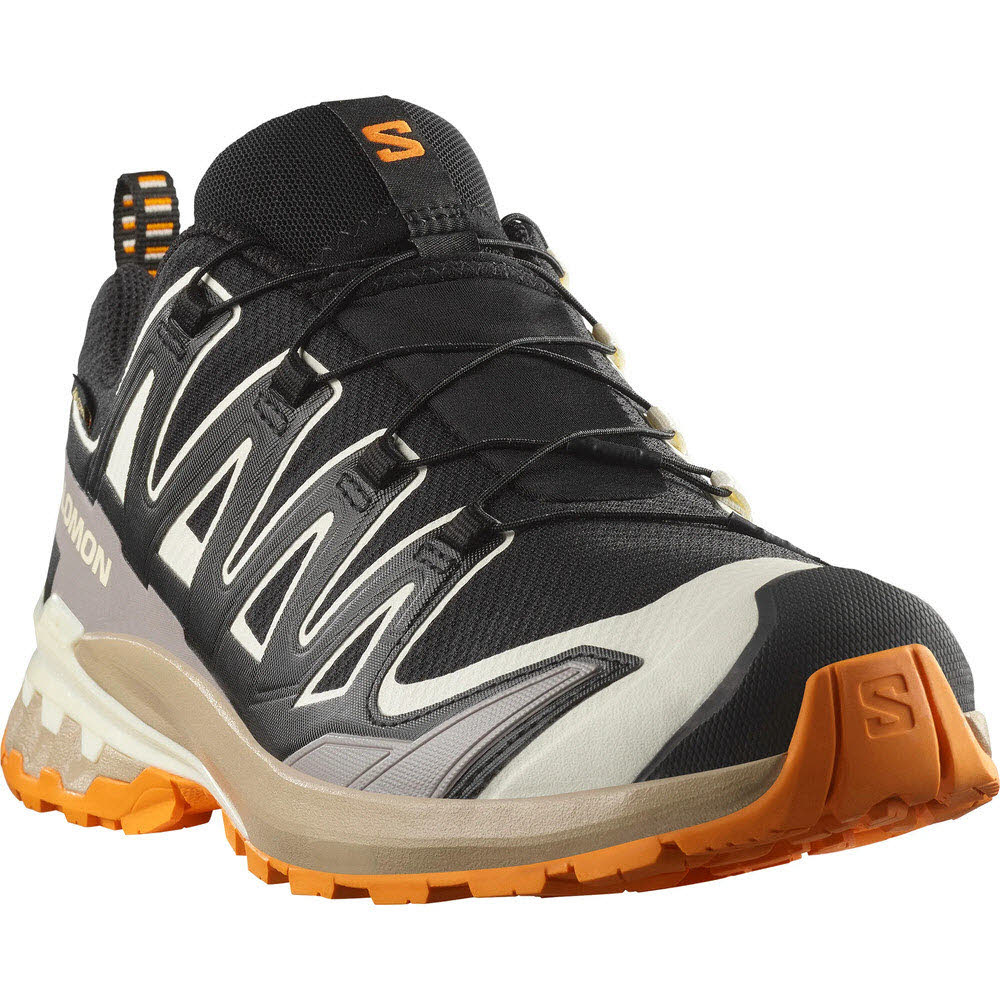 Salomon SHOES XA PRO 3D V9 GTX Black/Vanila/Turm